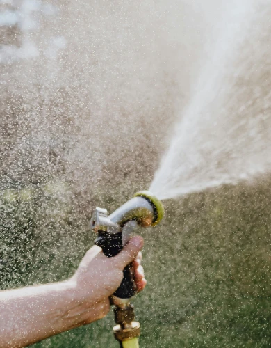 Hose watering a garden